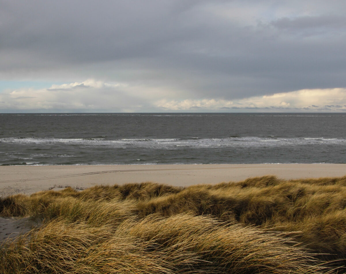 Sylt / Dünen Meer / 100 x 50 cm