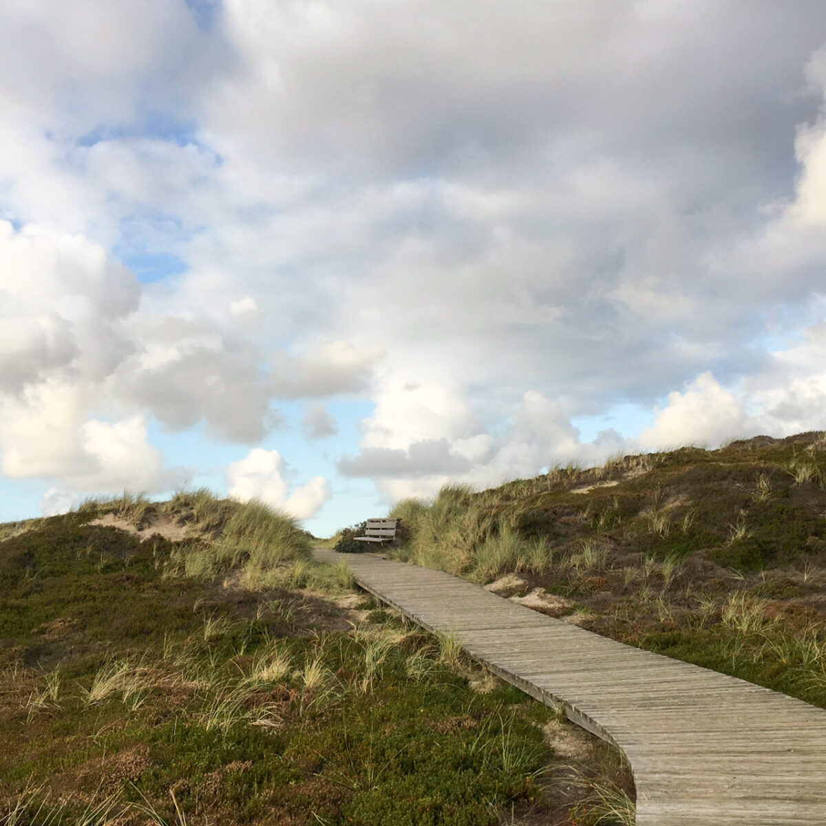 Der-Weg-ist-das-Ziel,-Kampen-auf-Sylt