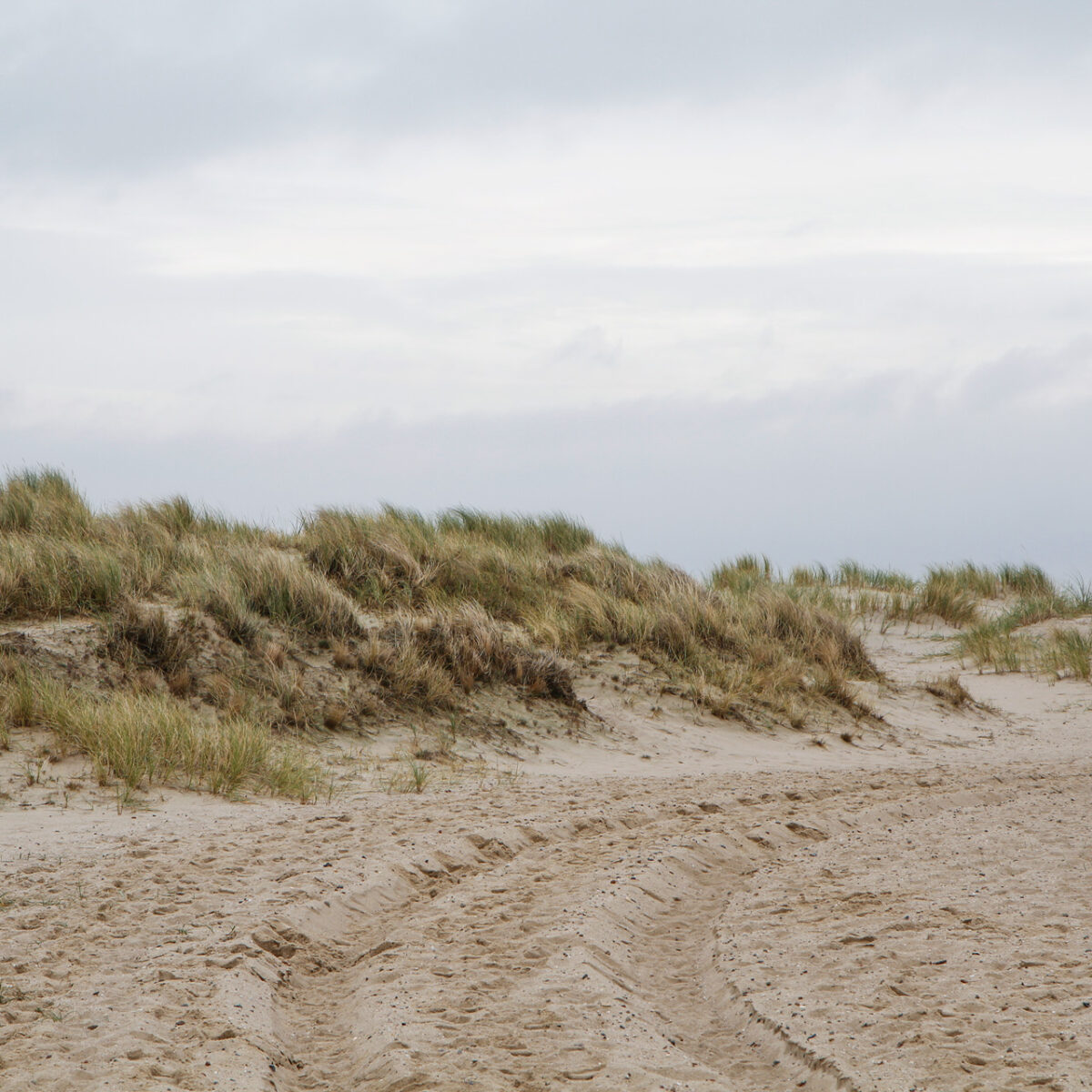 Dünenweg-bei-List-auf-Sylt