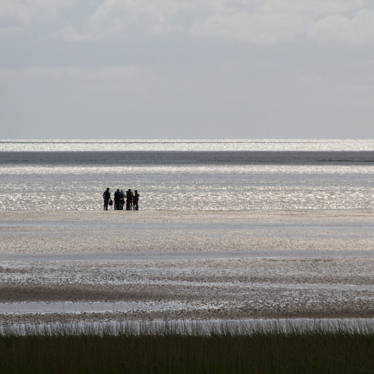 Wattenmeer,-Wattwanderer-bei-List-auf-Sylt