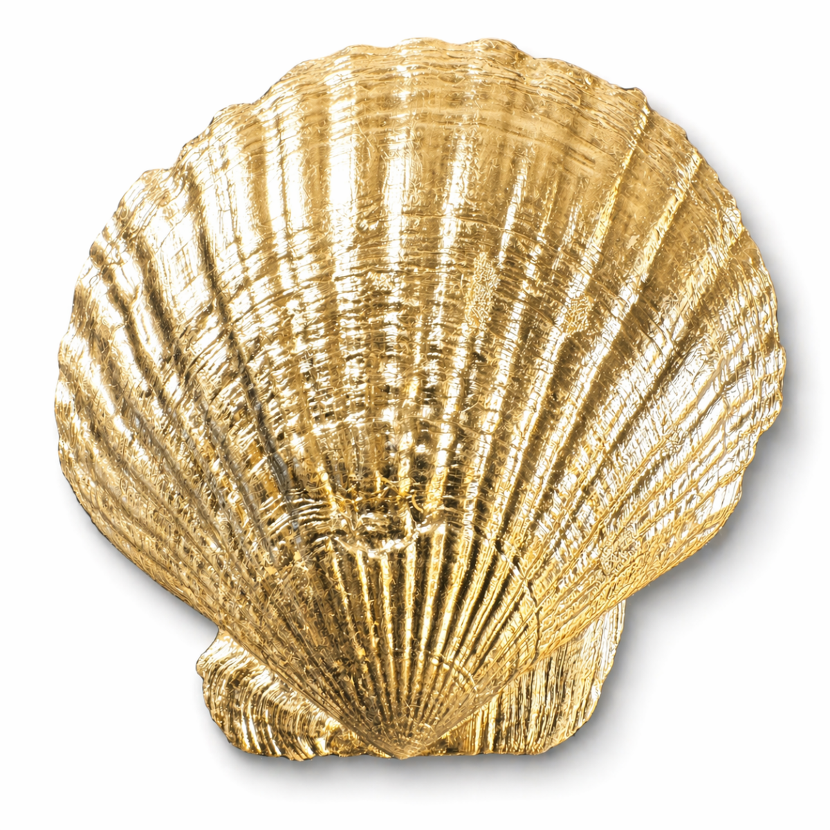 Jakobsmuschel M / 24 K Gold