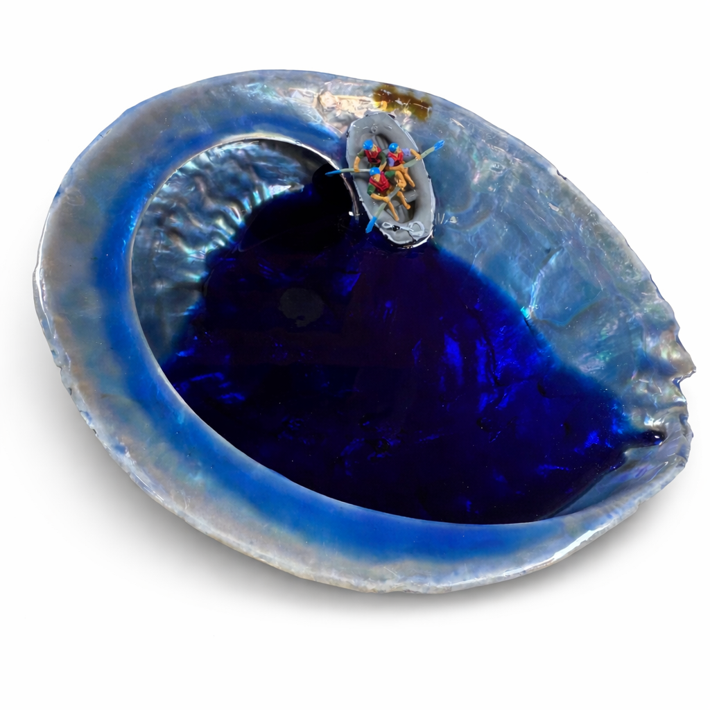 Abalone Muschel / Rafting