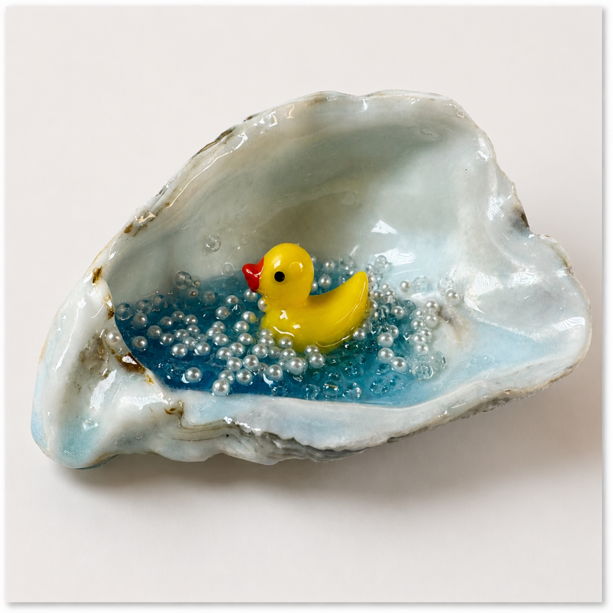 Auster / Ente